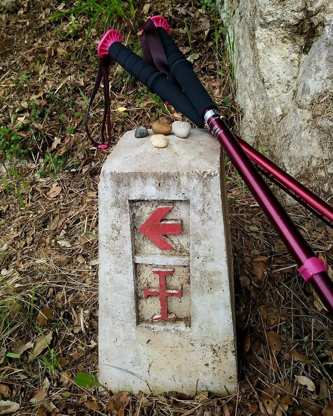 Medical care in action